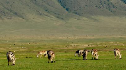 65th UNWTO Regional Commission for Africa