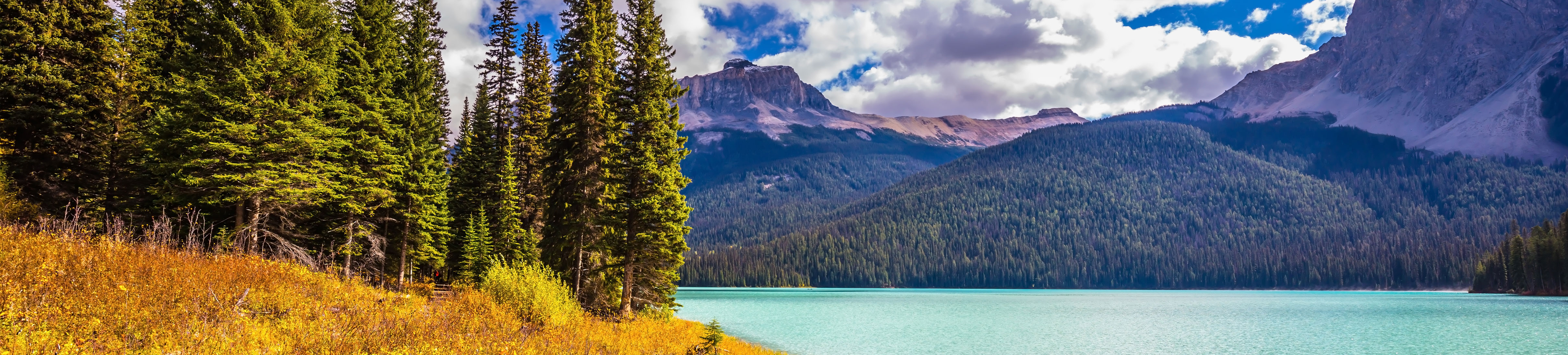 Ecotourism and Protected areas